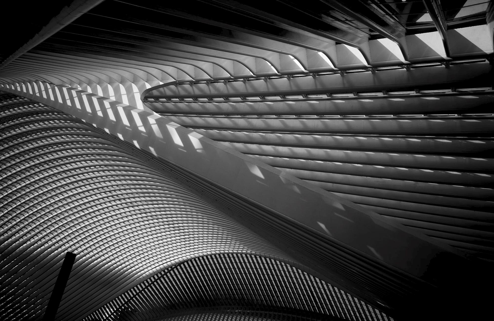 Zoom -